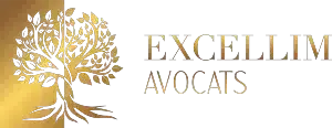 logo-excellim
